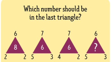 73